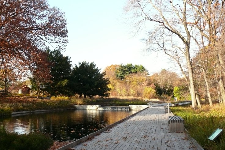 11.12.14-WhereIWrote1