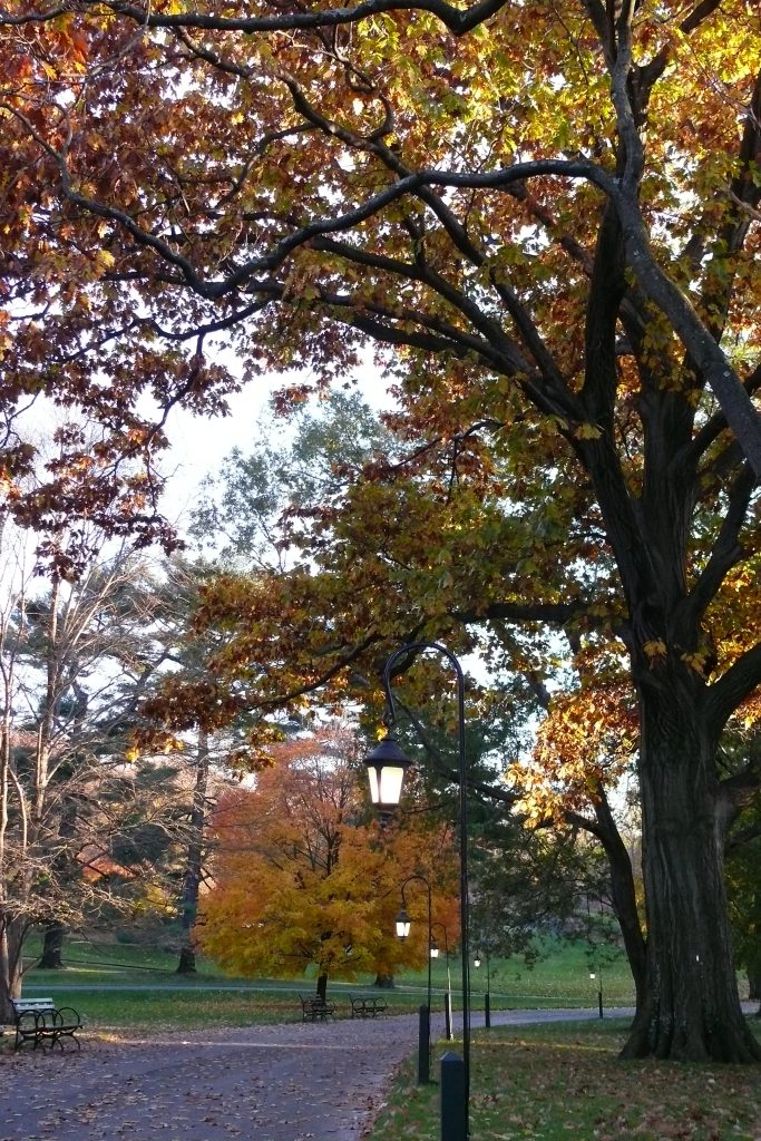 11.12.14-WhereIWrote5