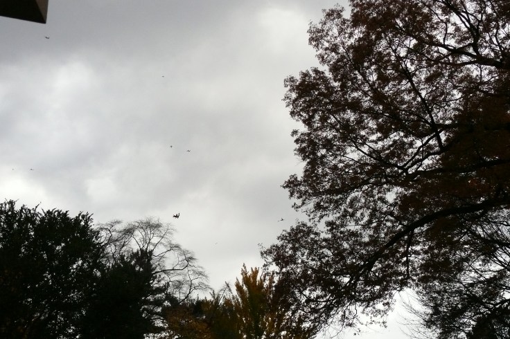 11.12.14-WhereIWrote6