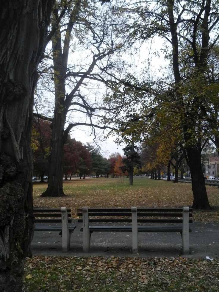 11.16.14-WhereIWrote