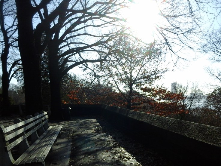 11.24.14-WhereIWrote2