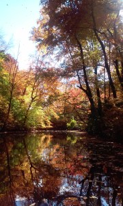ls-bronxriverkayaking2